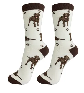 Labrador Chocolate Sock-Full Body