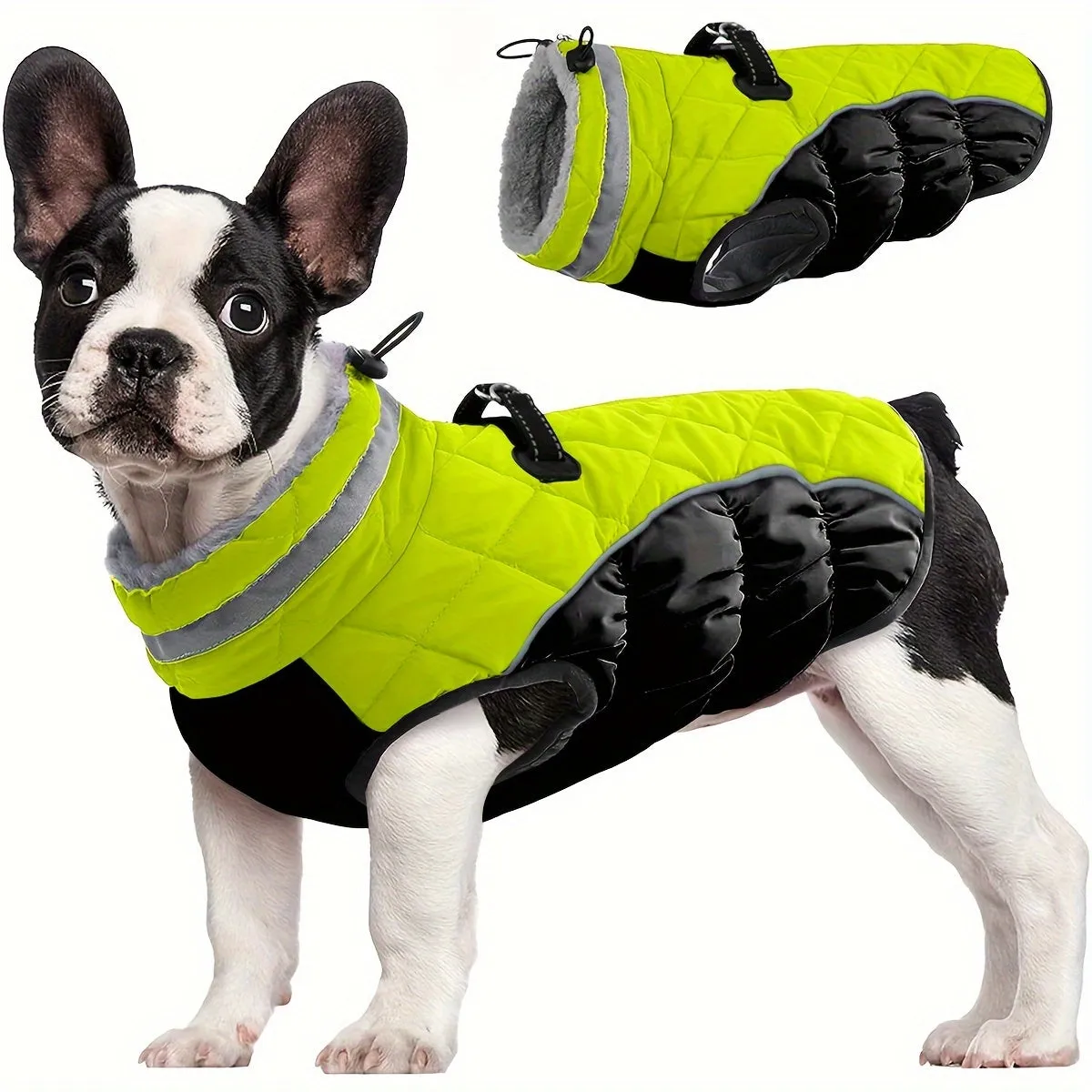 Stay Warm in Style with Fluorescent Green Dog Coat