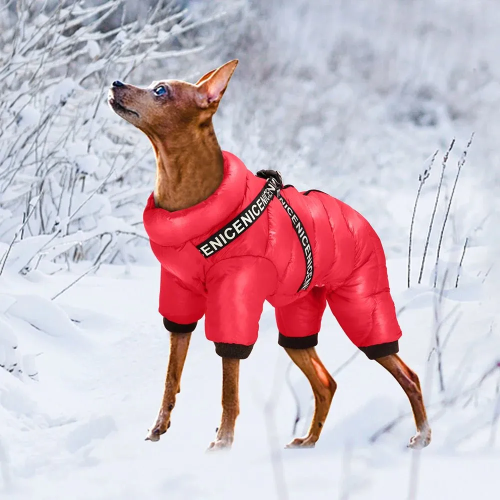 Winter Pet Dog Clothes: Cozy and Waterproof Jacket